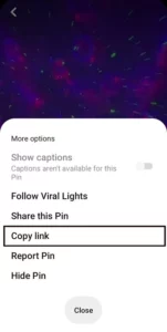 pinterest video download